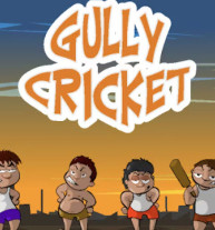 Gully Cricket
