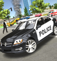 Police Car Simulator