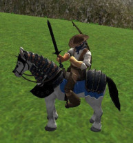 Reiten Simulator